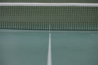 开云-波兰乒乓球队鏖战法国乒乓球队，樊振东统治全场