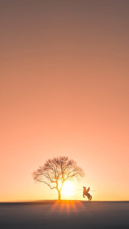 拜仁碾压乌克兰背后，真正的关键先生竟是维尼修斯？