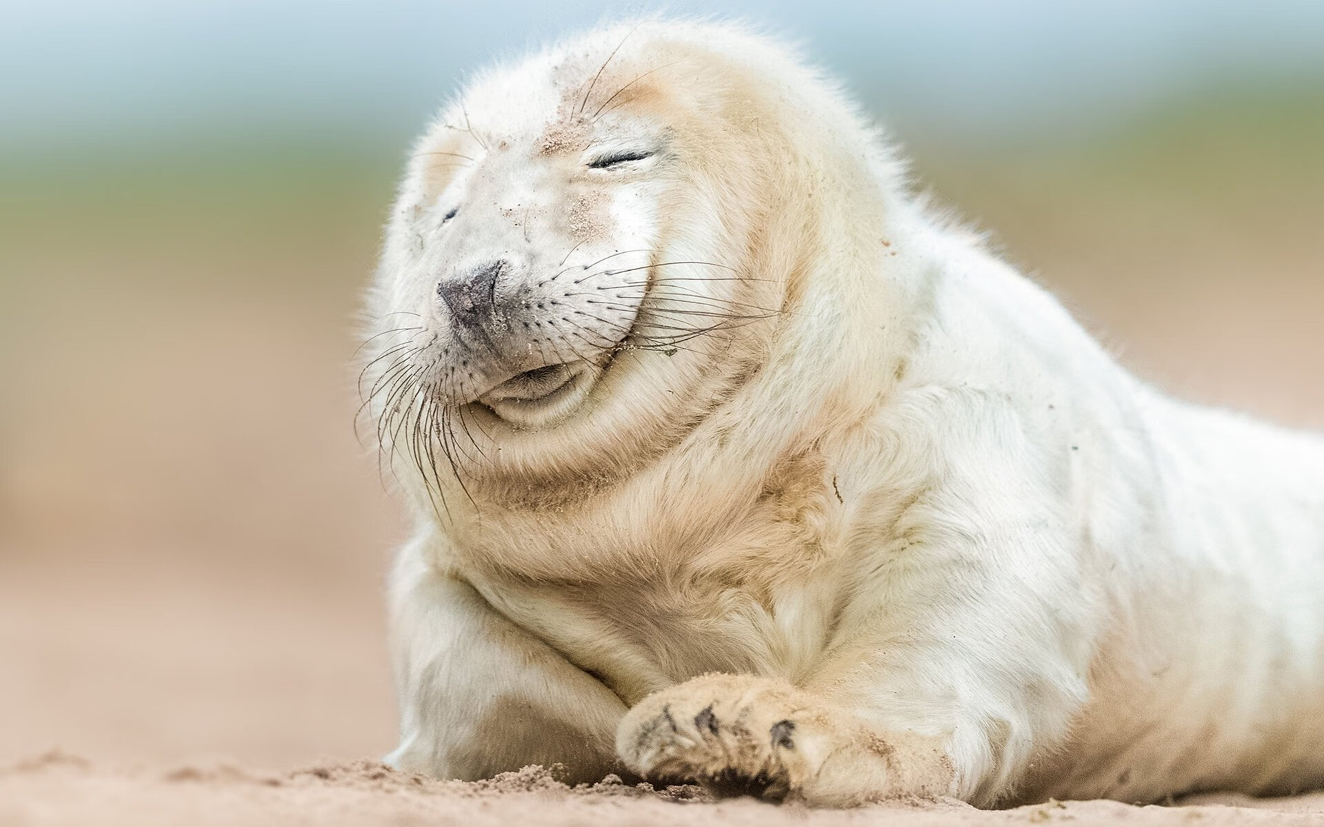 坎特，巴黎之战的不朽巨人，喀麦隆的叹息与一道蓝色闪电